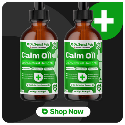 dog calming cbd