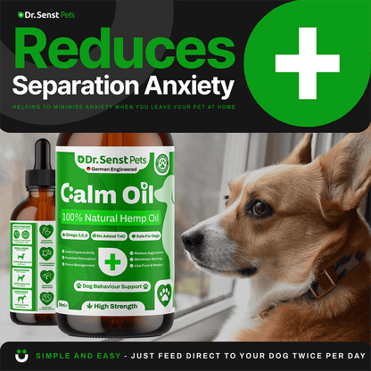 dog calming treatment