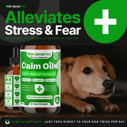 dog calming treats