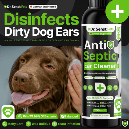 uk dog ear cleaner