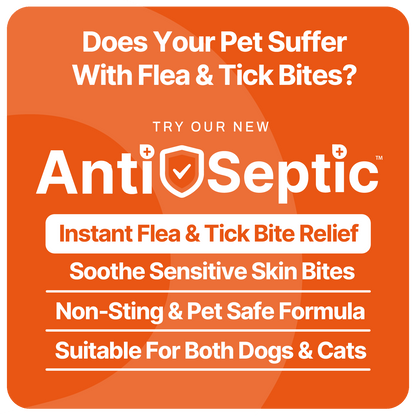 uk dog flea treatment