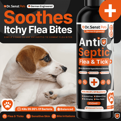 dog flea treatment relief