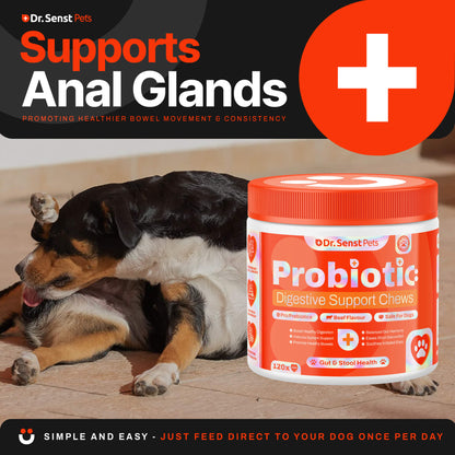 dog probiotics supprot