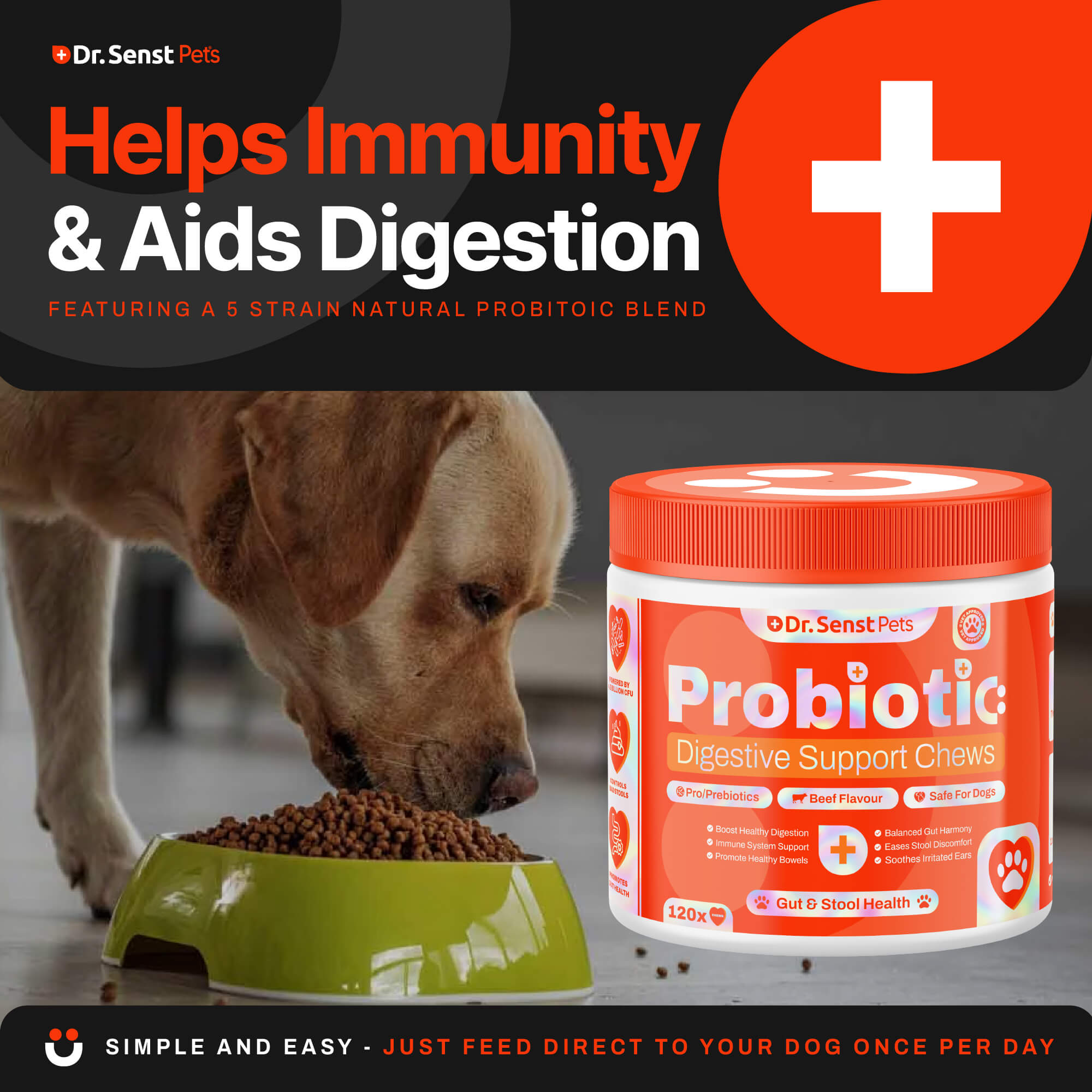 dog probiotics chew