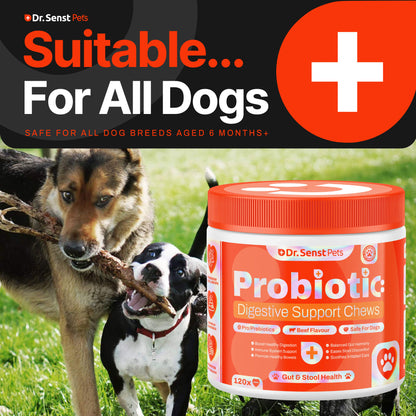 dog probiotics support uk chew