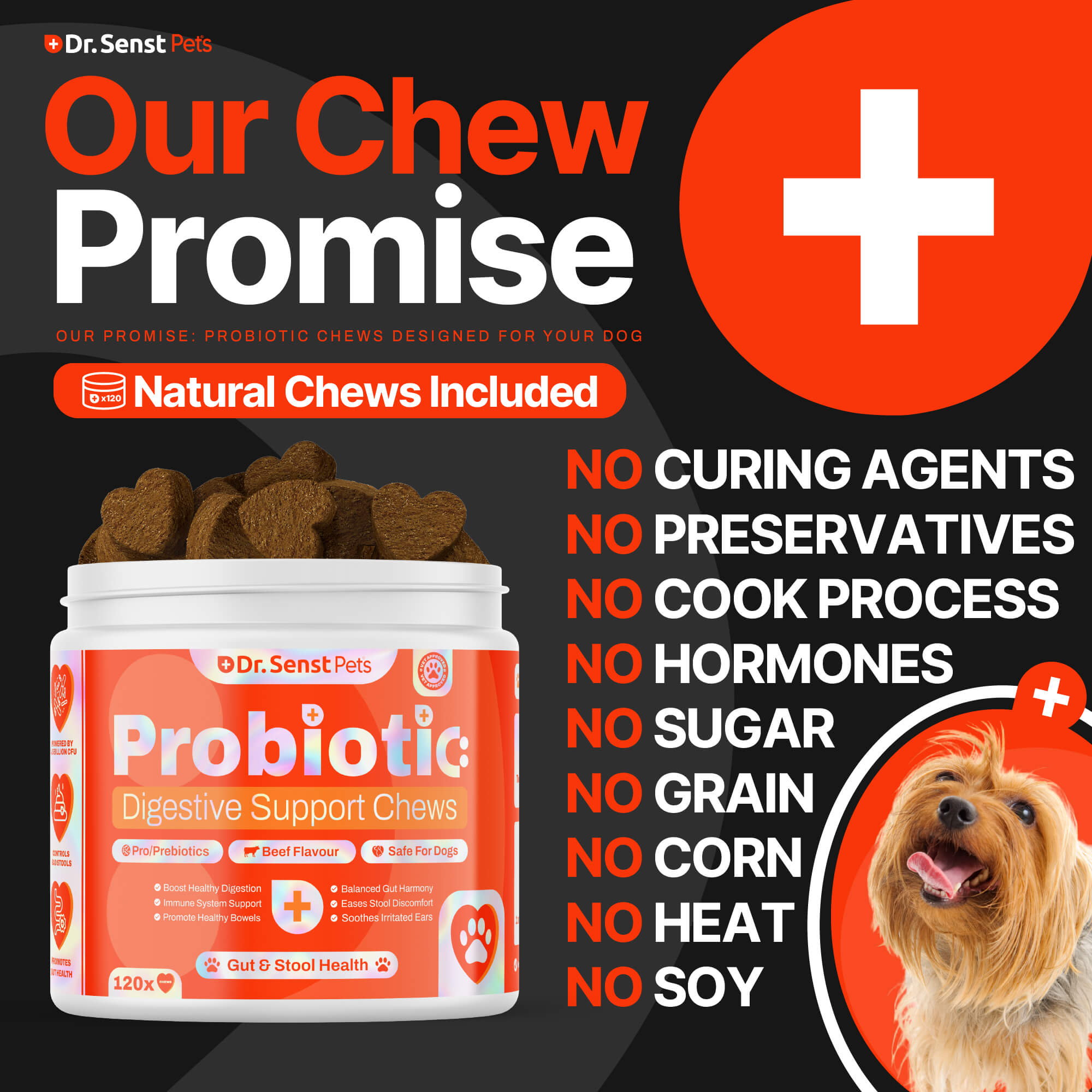 dog probiotics promise