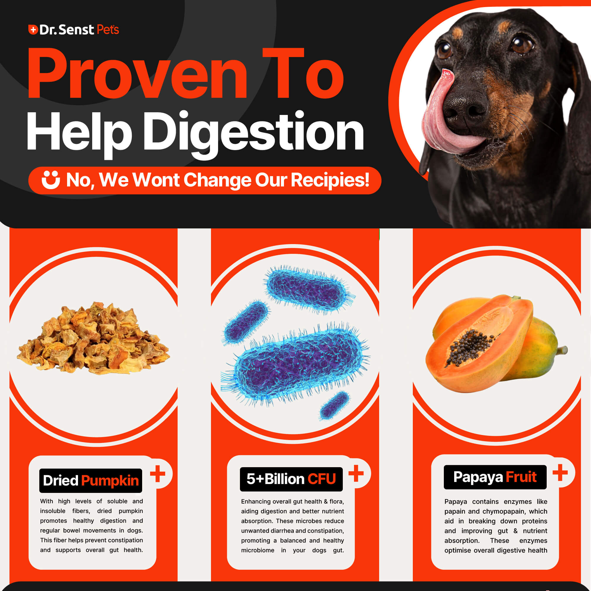 uk dog probiotics reviews