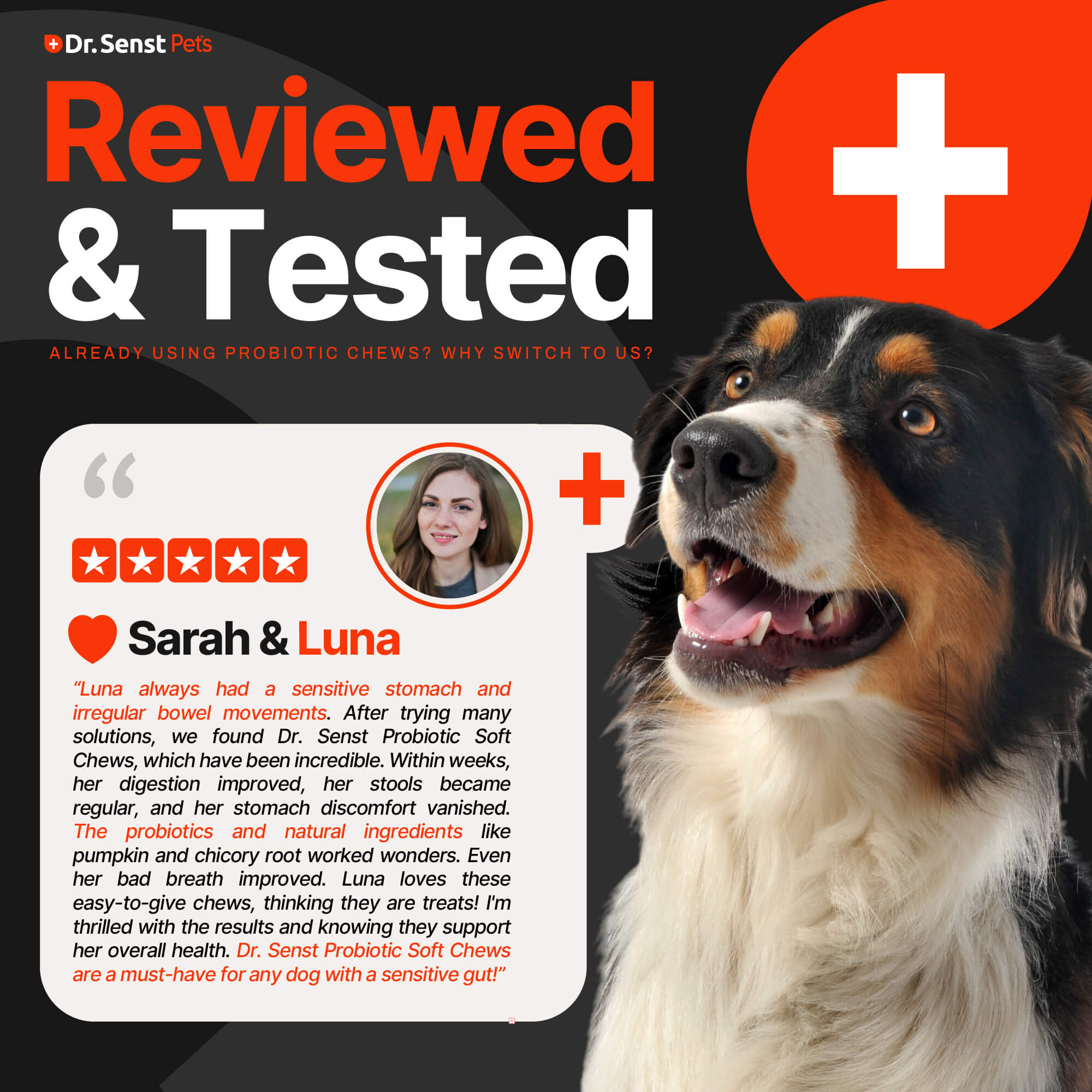 dog probiotics tested