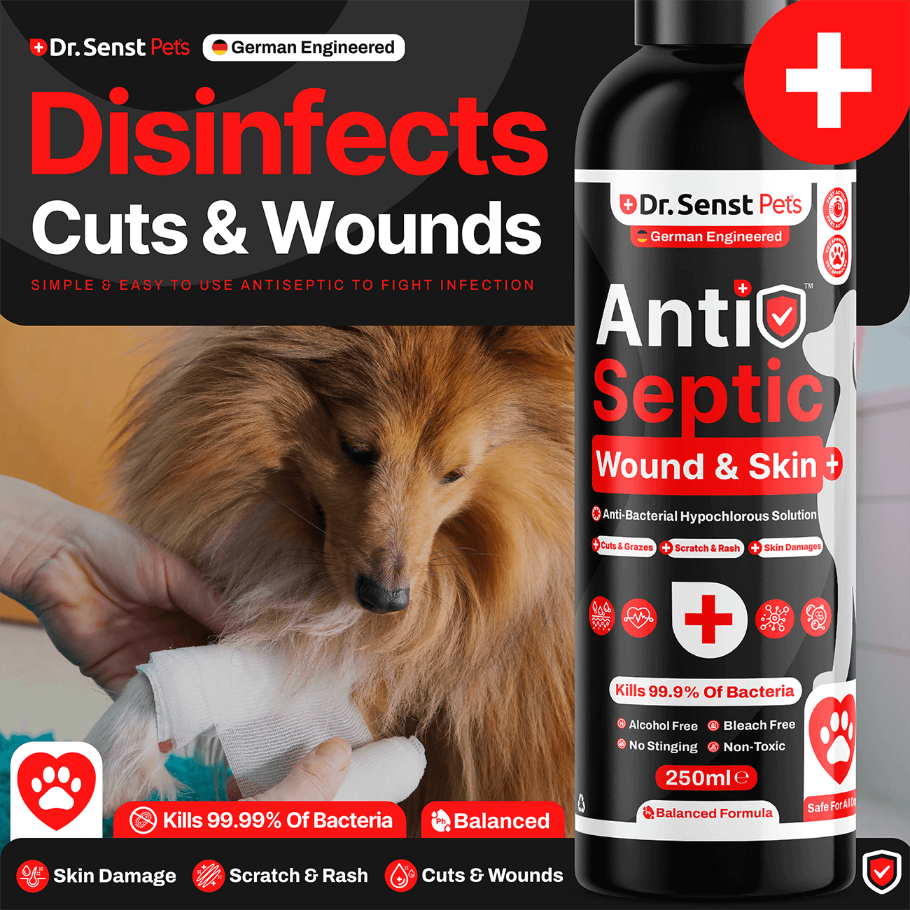 dog wound relief treatment