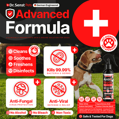 dog wound relief support