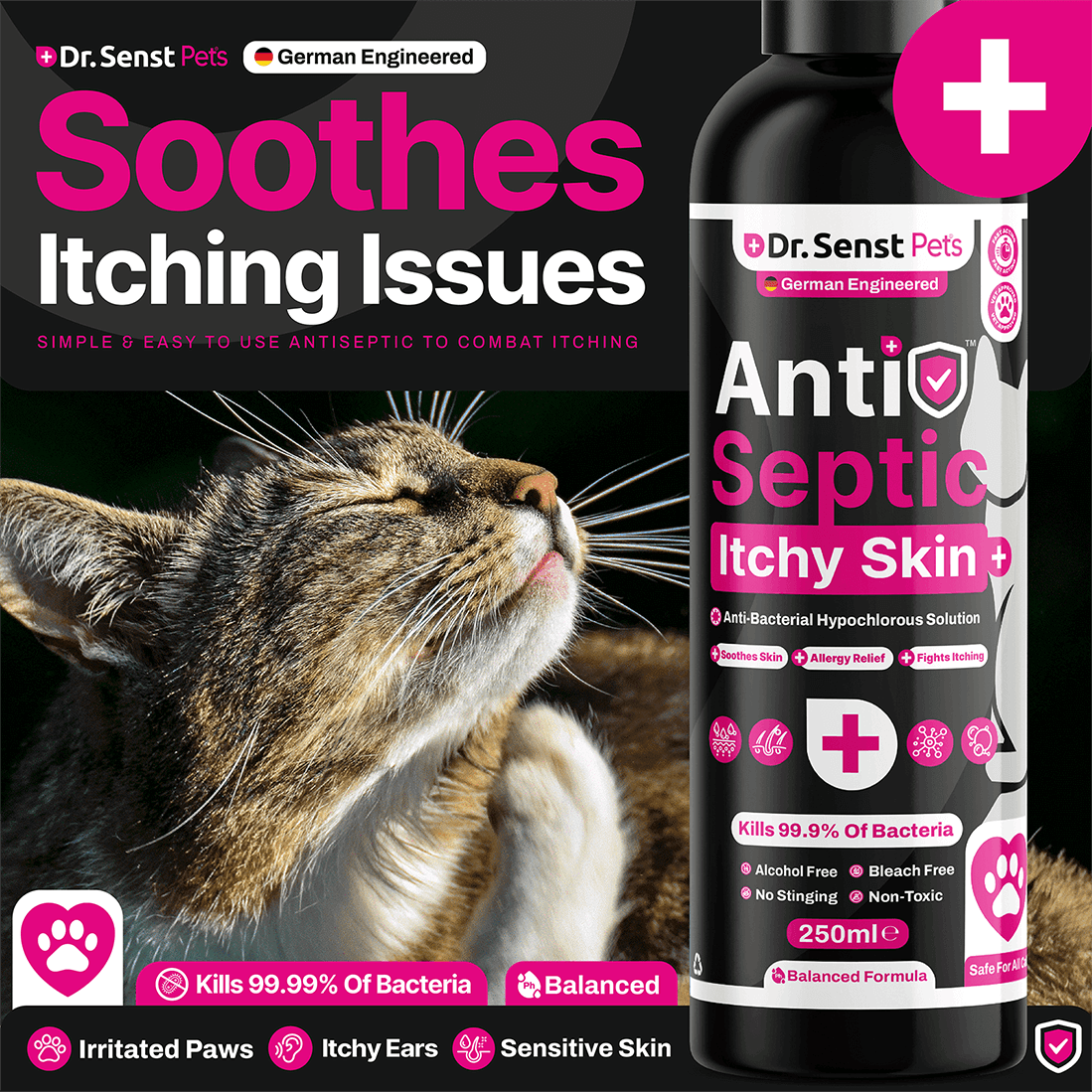 itchy cats relief