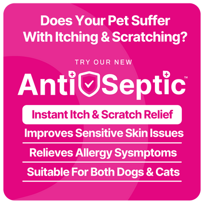 itchy dog relief