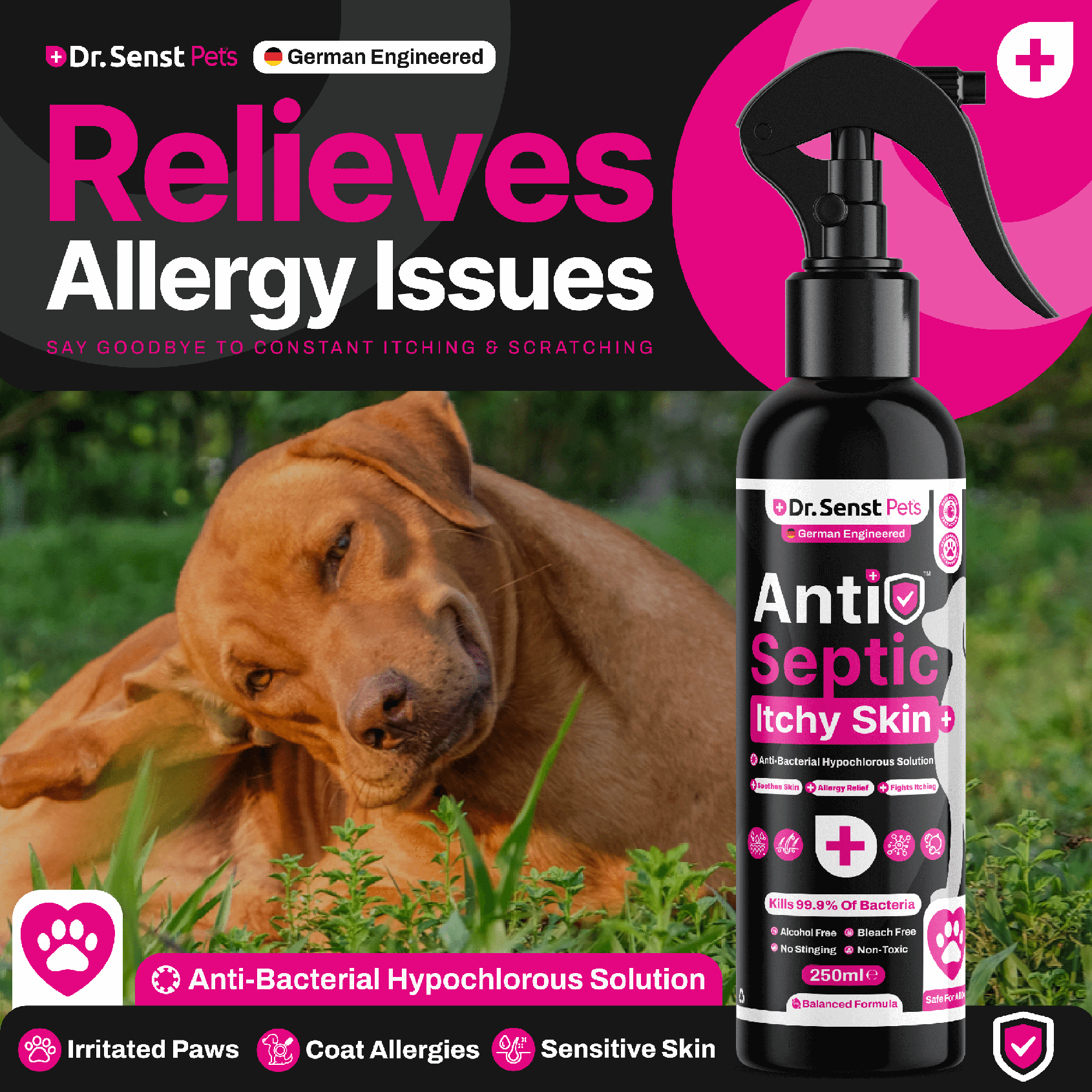 Non stinging antiseptic for dogs hotsell