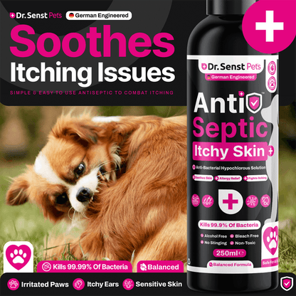 Non stinging antiseptic for dogs best sale