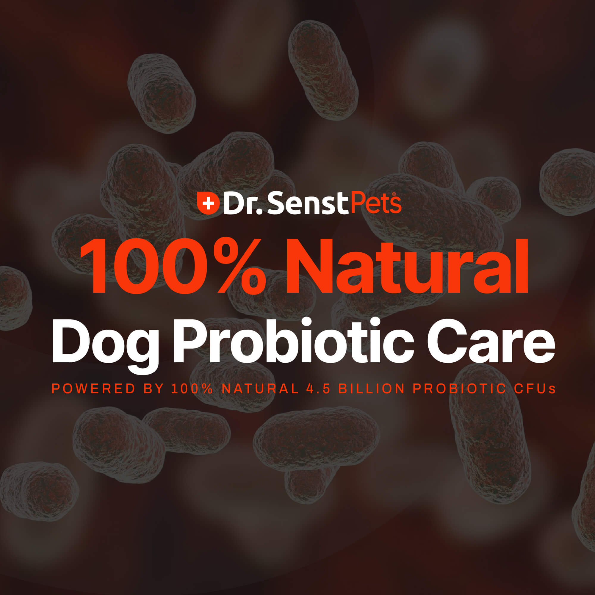 natural dog probiotics