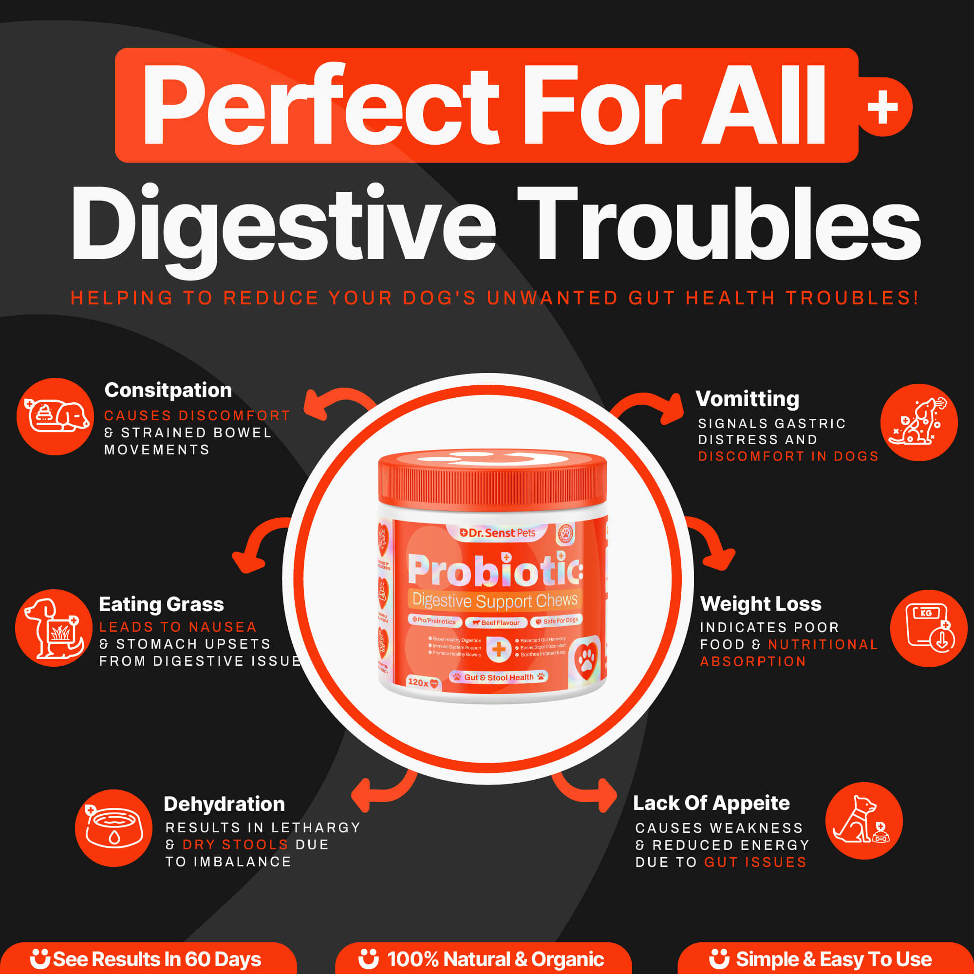 dog probiotics uk