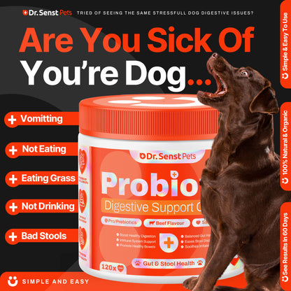 vet dog probiotics