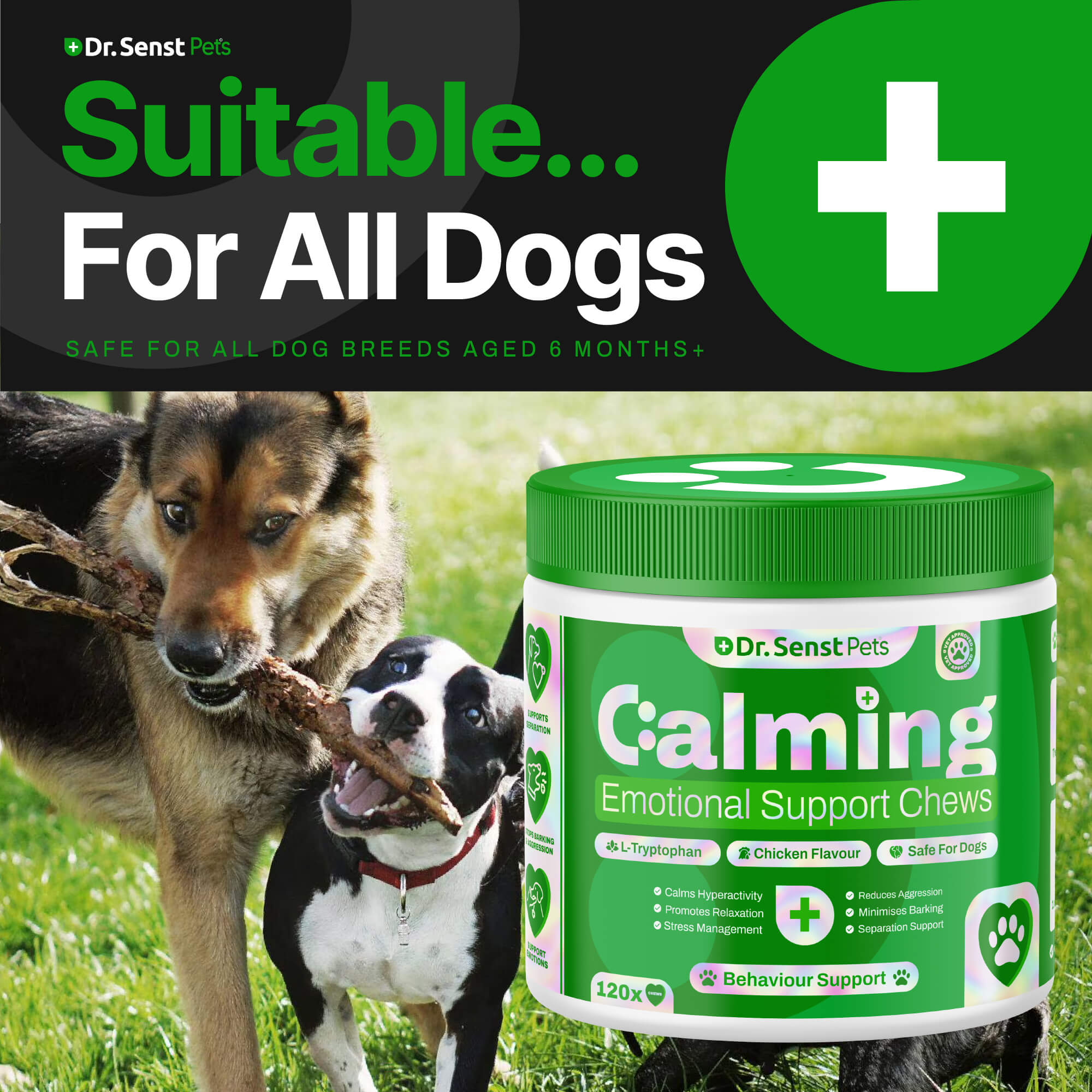 dog calming treats relief