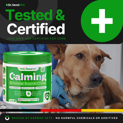 medication dog calming 