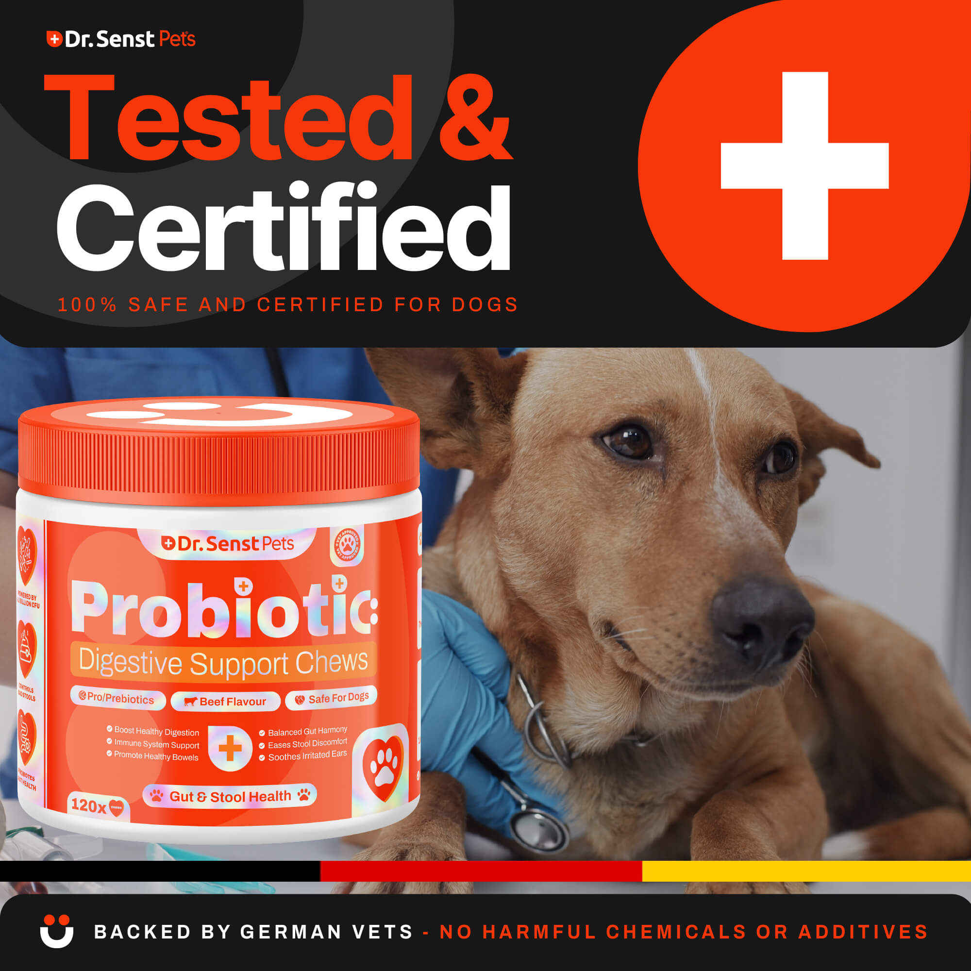 safe dog probiotics